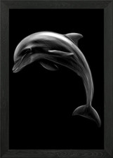 Dolphin Framed Wall Art Poster Canvas Print Picture