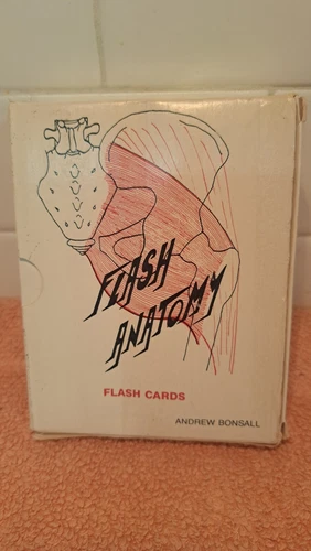 Vintage Flash Anatomy Flash Cards  Andrew Bonsall 1989 New Complete Set 