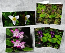 Pacific Northwest Spring Wildflowers Set of 8 Blank Photo Notecards