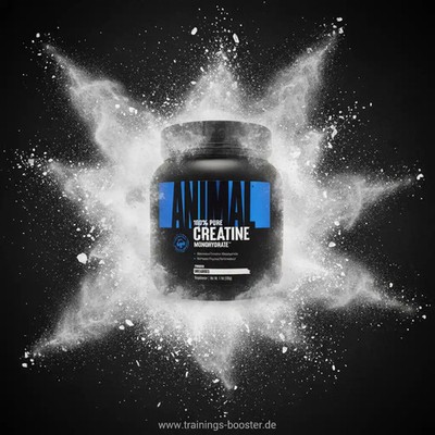 Animal Micronized Creatine 500g