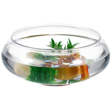 Shallow Garden Bowl Aquarium Transparent Small Fish Tabletop