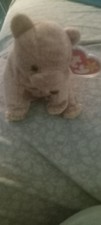 Ty Original Beanie Baby "Pecan" the Cute  Cuddly Brown Bear w/Tags