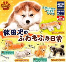 capsule toys Akita Inu's fluffy daily life [set di 5 tipi (co... modulo libro JP