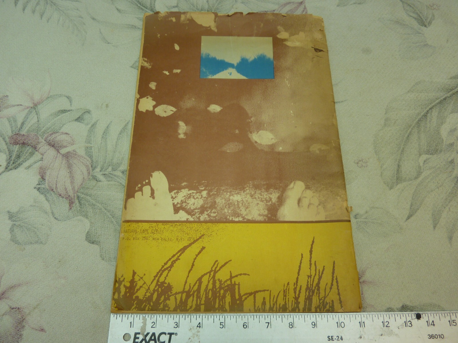 Picture 8 of 10