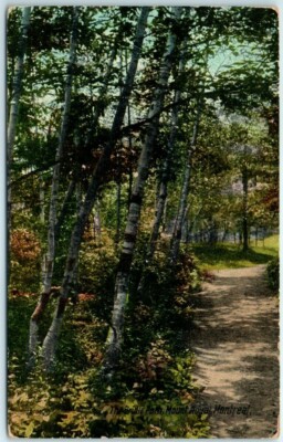 Postcard - The Bridle Path, Mount Royal, Montreal, Canada