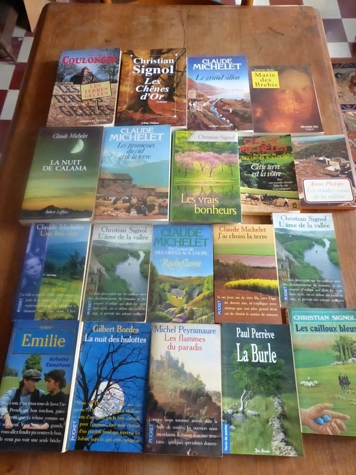 Destockage Lot de 19 livres SIGNOL MICHELET COULONGES école de Brive Terroir - Photo 2/4