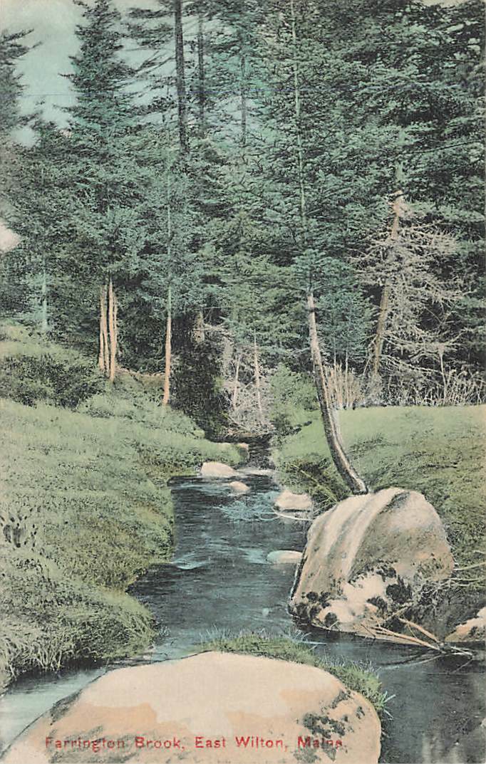 c1910 Farrington Brook East Wilton Maine VTG P72