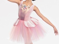 Brand new. Never worn. Revolution ballet costume girls costume  