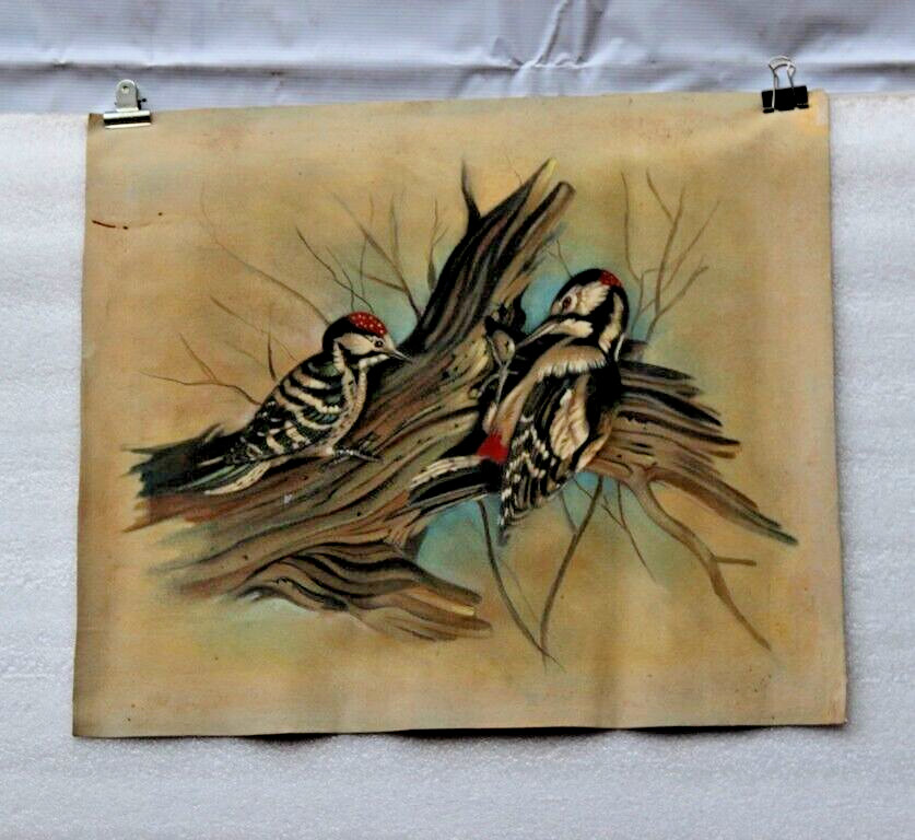 1970's Antiguo 2-BIRDS Sentado En Rama Aceite Lienzo Pintura Handmade Original