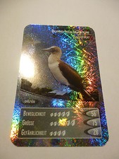 Netto "Ozeanien 2 Wir tauchen auf!" SILBERKARTE Nr. 95 Blaufußtölpel NEU