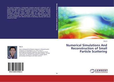 Numerical Simulations And Reconstruction of Small Particle Scattering Disi A
