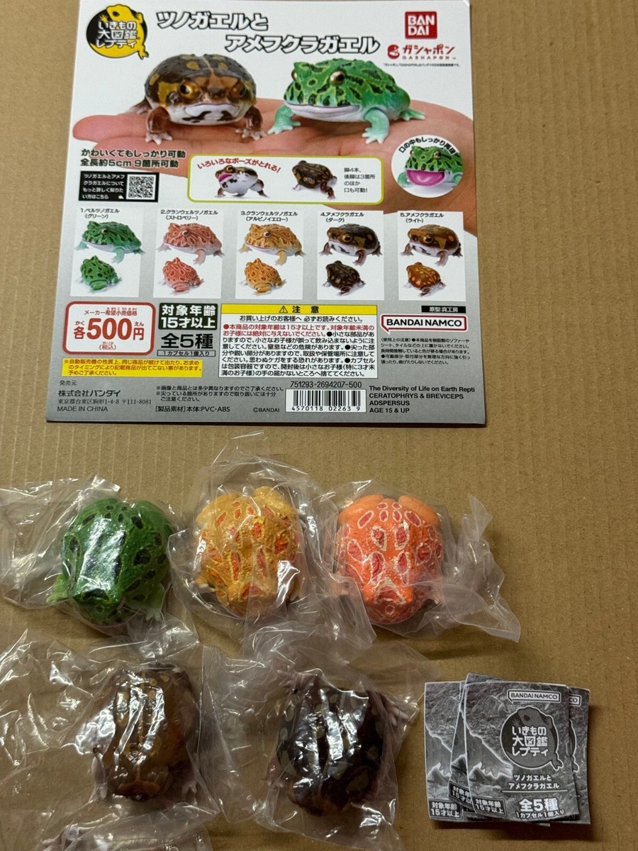 Bandai Horned Frog and American Frog capsule set of 5 pcs | eBay