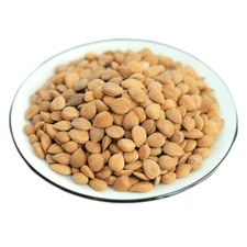 1 LB Bitter Apricot Kernels Organic Raw Bitter Apricot Seeds 苦杏仁