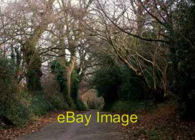 Photo 6x4 Quarry Lane 2 Sandy Gate Quarry Lane, now a non traffic footpat c2009