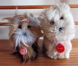 american girl yorkie dog