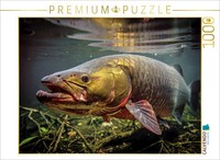 Calvendo Puzzle Our Planet's XXL Stars. | 1000 Pieces, Finished Size 25.2 × 18.9