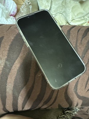 iPhone 13 Pro Max With Tik Tok