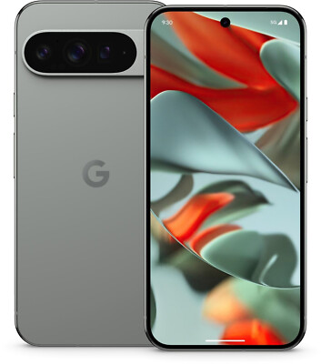 Google Pixel 9 Pro XL 256GB Hazel, NEU Sonstige