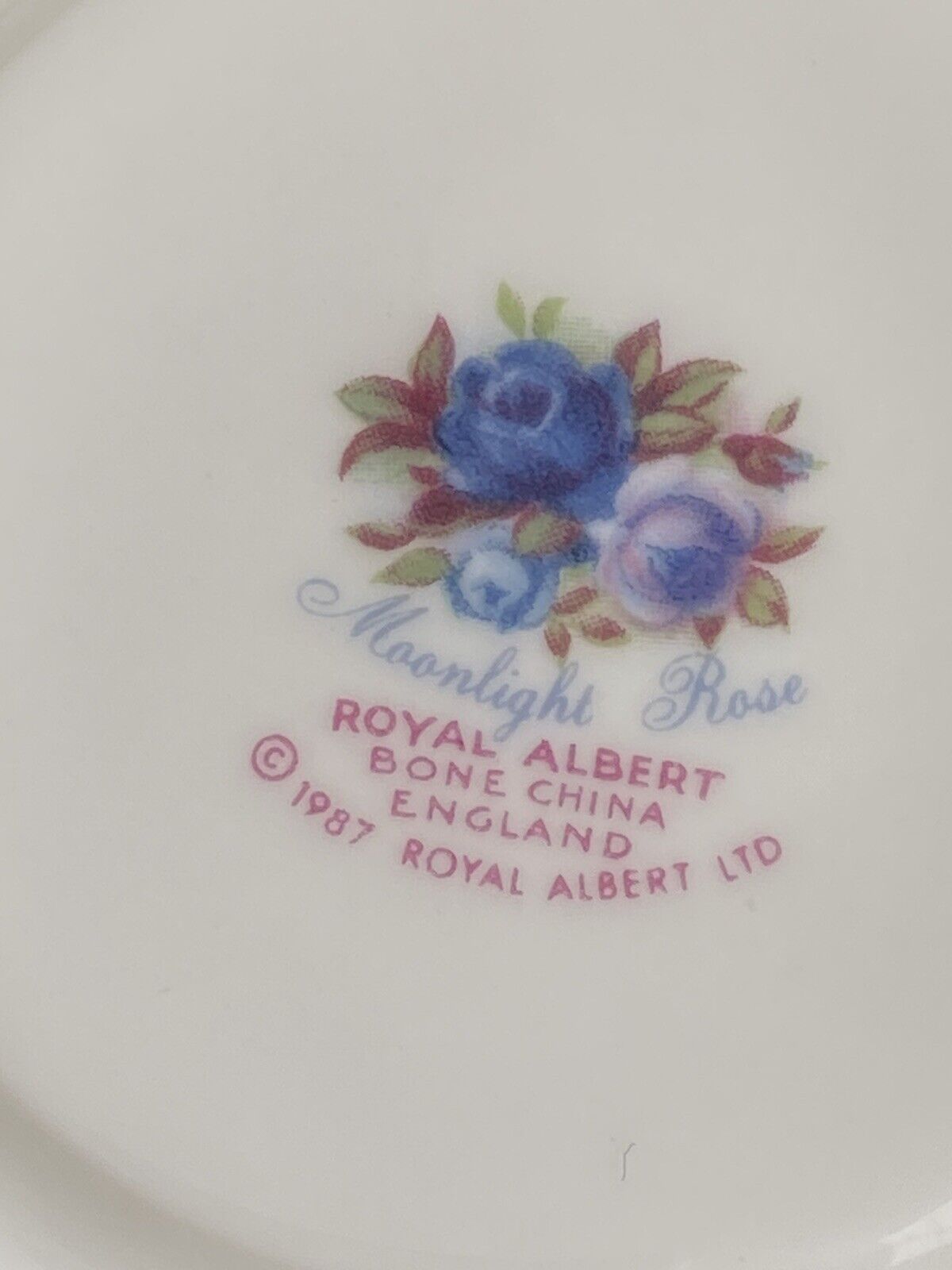 Royal Albert MOONLIGHT ROSE Tea Cup Saucer Bone China ENGLAND VTG 1987 AS I S