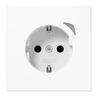 Jung SCHUKO Steckdose 16 A 250V BT LS 1521 SE WW IP20 Abdeckung weiß Stecker