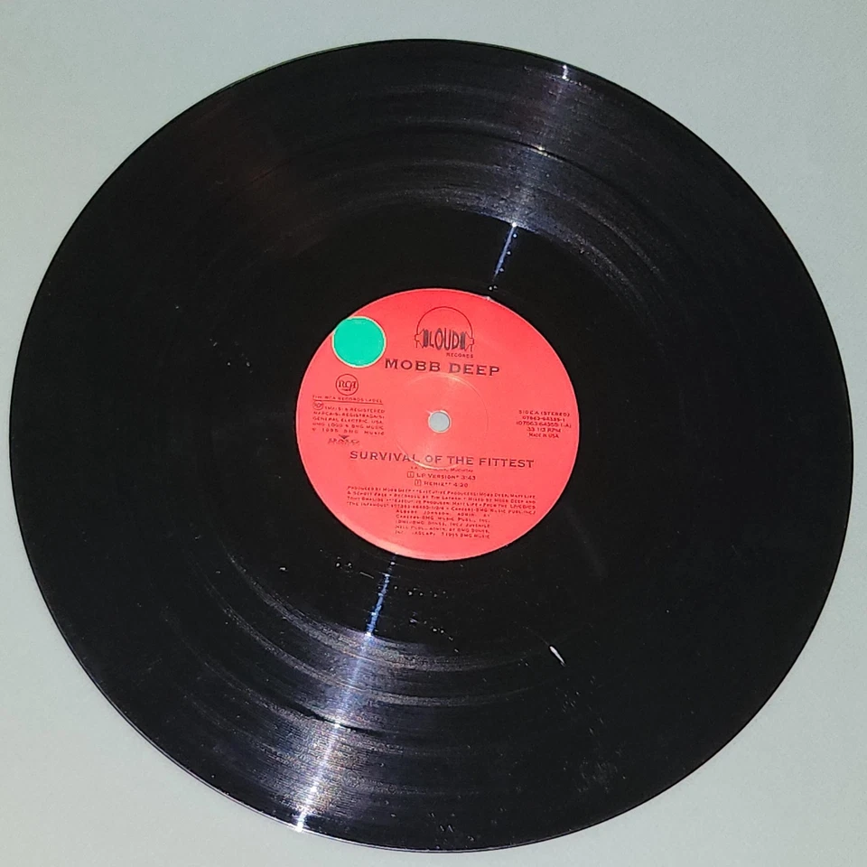 MOBB DEEP SURVIVAL OF THE FITTEST RCA RECORDS 1995 HARDCORE HIPHOP RECORD Foto 4 de 4