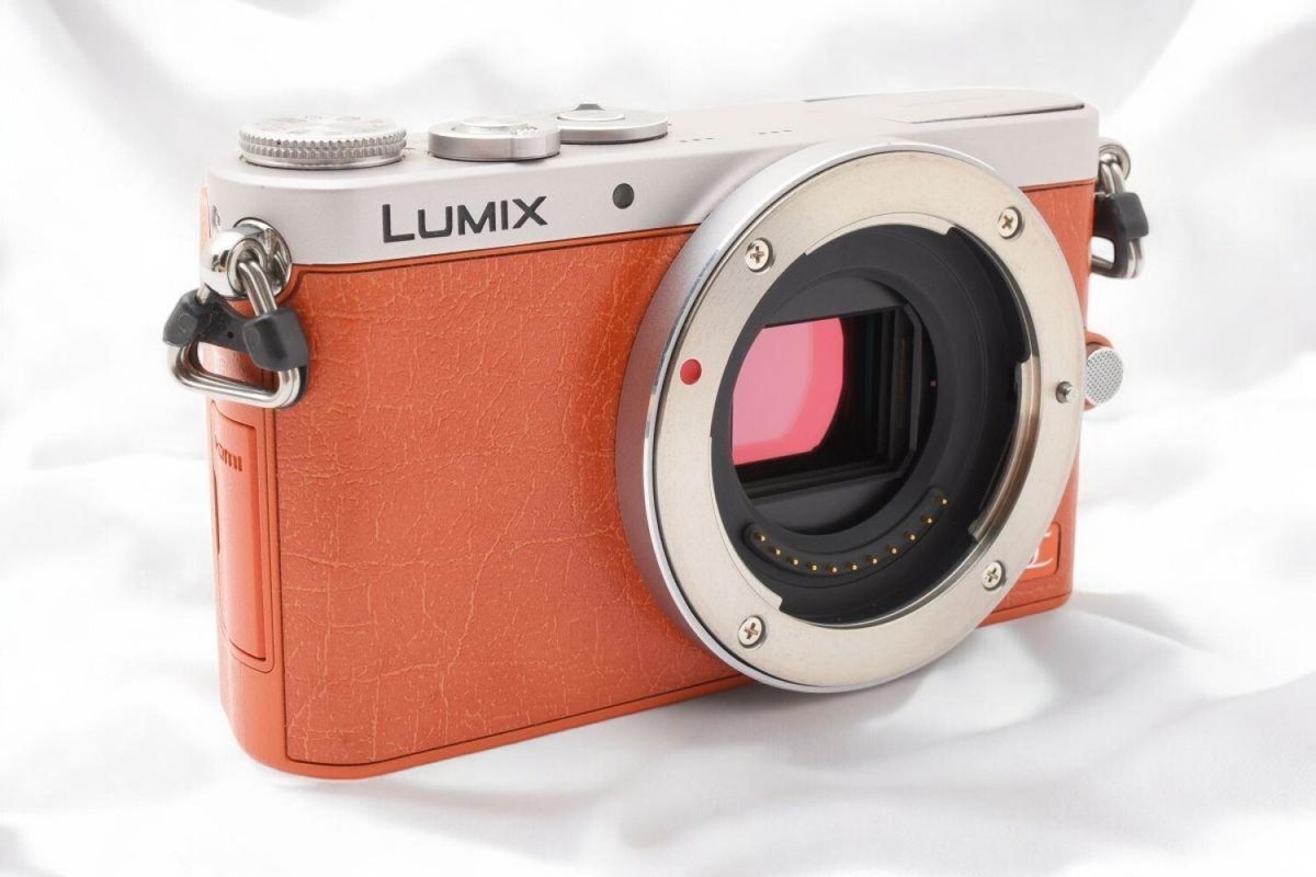 Panasonic LUMIX DMC-GM1 Mirrorless Digital Camera Orange body w