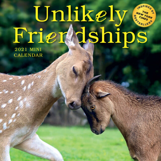 unlikely-friendships-mini-wall-calendar-2021-by-jennifer-s-holland-2020-calendar-for-sale