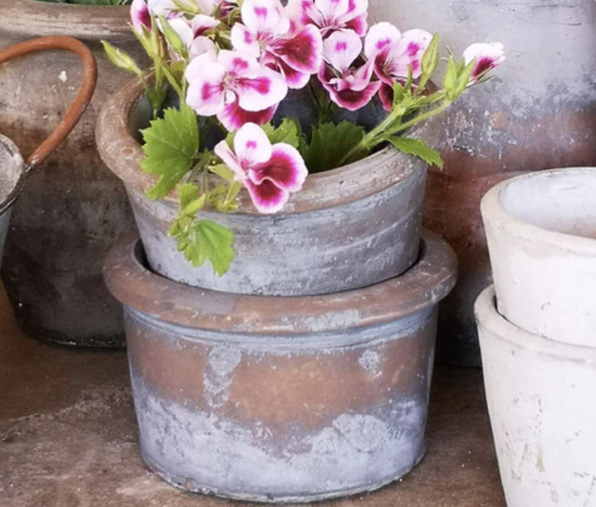 Vintage 2024 flower pots