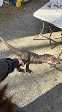 Jurassic World Super Colossal Large Dinosaur Action Figure Tyrannosaurus Rex Toy