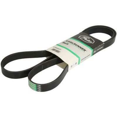 1X MEHRRIPPEN-KEILRIEMEN PASST ZU: THERMO KING SL 100E; SL 200E; SL 300E; SL