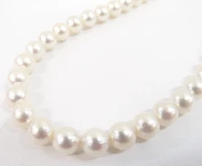 Genuine Akoya Pearl Necklace 7.6-7.8mm Free Shipping 21220511500 2