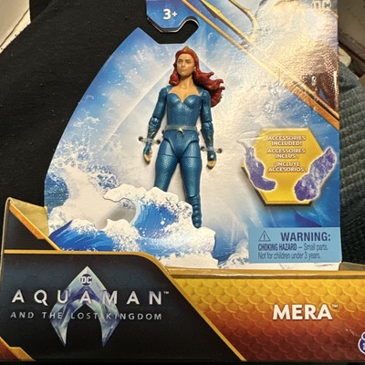 DC Aquaman  Lost Kingdom  Amber Heard As MERA 2023 Spin Master 4'' Figure  NEW