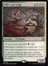 Wilt-Leaf Liege FDN 668 Normal English NM - MTG