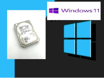 1TB HDD 3.5'' SATA Hard Drive for Desktop with Windows 11 and office Installed