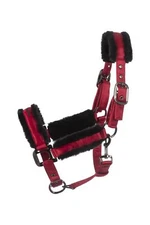 Cavallo JERO Elegantes Halfter dark ruby Horsefashion 2025