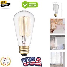 01321 60w Vintage Edison S60 Squirrel Cage Light Bulb Warm Incandescent Tun...