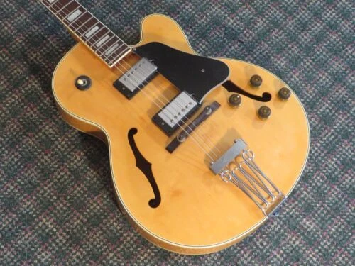 Ibanez Hollow Vintage Electric Guitars