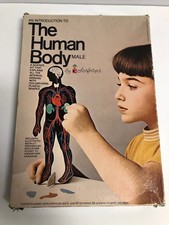 COLORFORMS THE HUMAN BODY MALE 1970 - INCOMPLETE