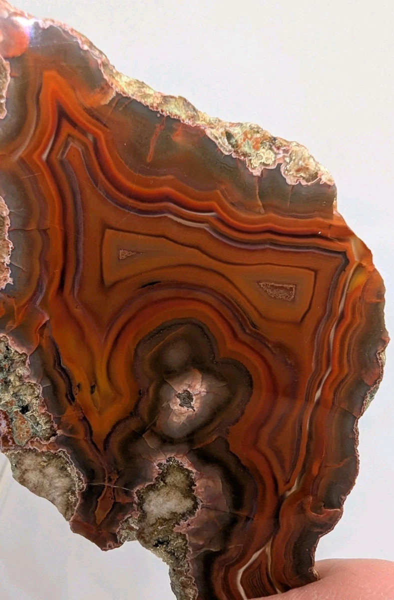 Condor Agate for sale | eBay