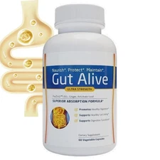 Holistic Health Labs Gut Alive Ultra Strength Superior Absorption- (60 Capsules)