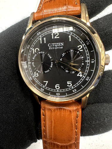 Citizen Eco-Drive Men's Watch - AO9003-08E