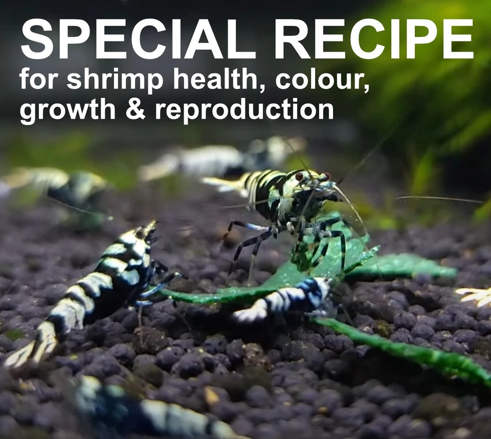 MTAQUATICS Freshwater Shrimp Main Food for Neocaridina and Caridina Shrimps. - Image 3 of 3