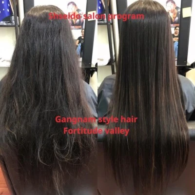 shiseido hair straightener