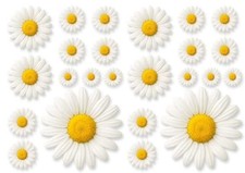 24PCS Daisy Vinyl Car Sticker, Scratch Cover White Flower Bumper Decal for