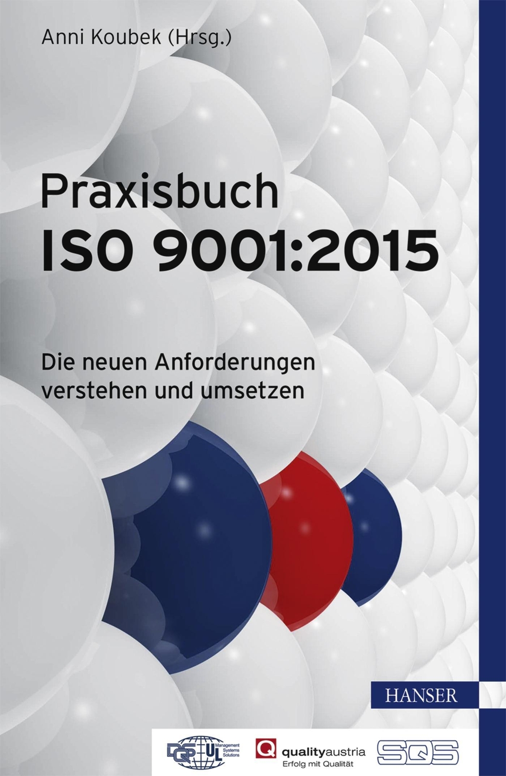 Thumbnail - Praxisbuch Iso 9001:2015 Anni Koubek