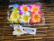 Large Frangipani Hair Claw clips - 9cm diameter double flowers x 6