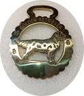 GOLDEN RETRIEVER  - NEW - Superior quality horse brass    (N7831)