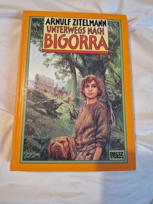 Unterwegs nach Bigorra. Abenteuer-Roman aus dem frühen Mittelalter
