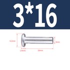 Bild 29 von 81