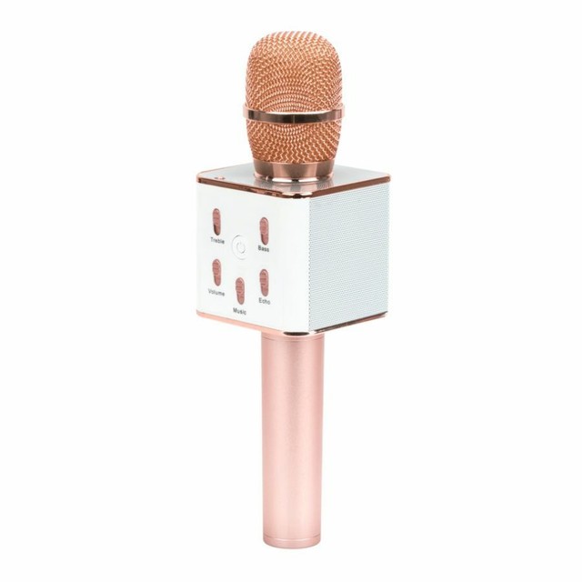 2 in 1 microphone and speaker